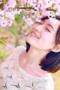 南枝向暖春意晚知乎