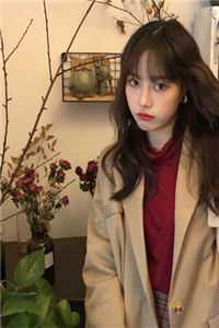 侯府忠仆，被迫成了皇后精品选集