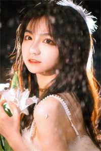 风起时，花落无声人气小说