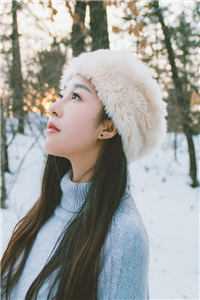 无言独倚高楼前文+