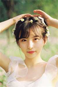 浮花浪蕊都过尽小说畅读