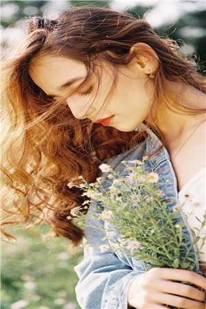 岁暮星沉爱已迟晏清河沈昭然无删减+无广告