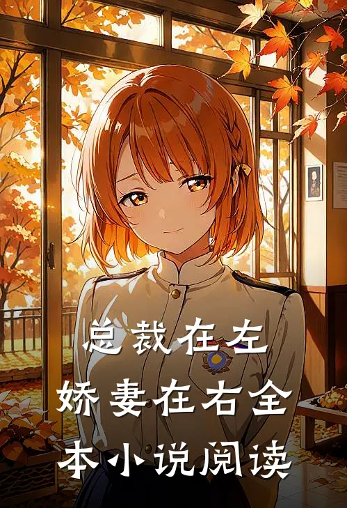 总裁在左，娇妻在右全本小说阅读