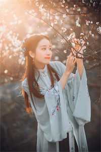 悲欢绵绵隔山水未删减版