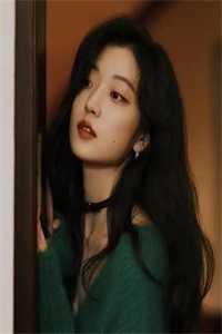 曾诺惊鸿共白头热门小说