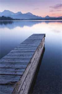 和禁欲上司闪婚，人前陌生回家狂亲许雾宋庭西全文免费