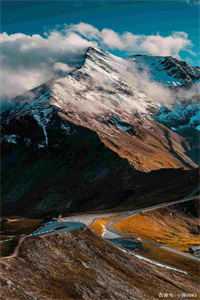 女配误入苗寨，却被疯批蛊王缠上前文+