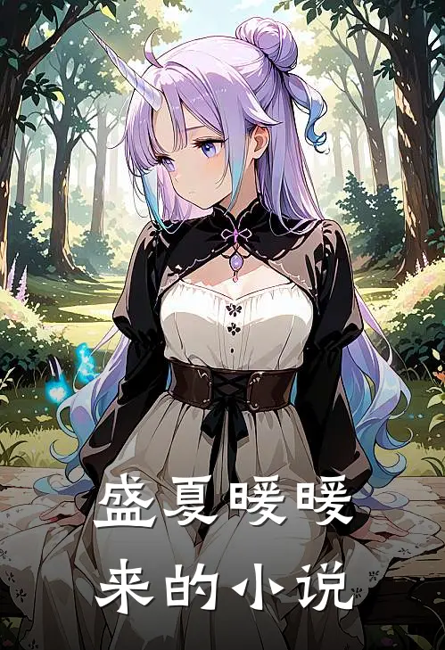 盛夏暖暖来的小说