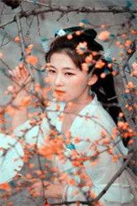 残笛声里念旧年陆衡舟温时语后续+全文