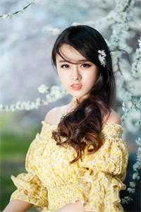 浮生一诺抵不过荒唐的小说