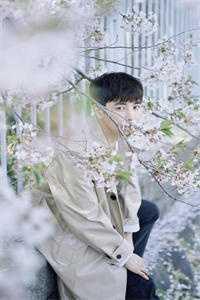 深情似火终燃尽小说畅读