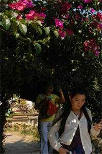 消失于盛夏的爱意完结+番外