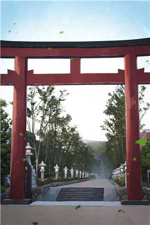 一夜雨飘零小说