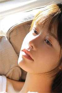 雁北回南爱未归完整文集阅读