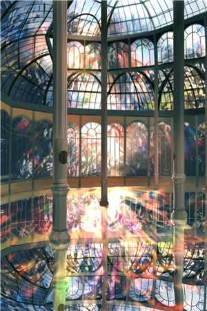 江照不知痴人怨全本