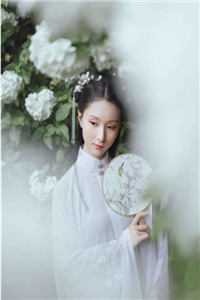 月落辞归衍好书