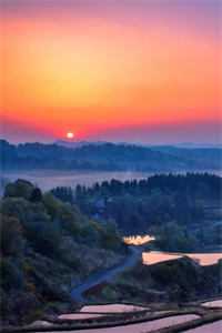 跌进他的怀抱未删节