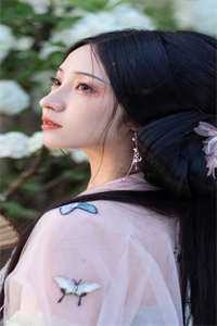 雁北回南爱未归全文免费