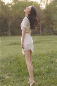 凤凰泣血归高质量好文