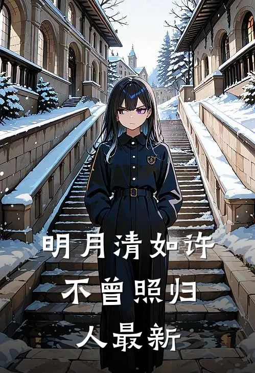 明月清如许,不曾照归人最新章节列表