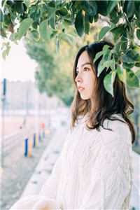 风月寄梦不寄君在线看