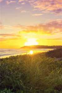 若随风入苍穹新上热文