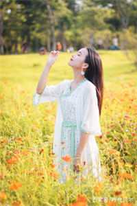 朝夕无归，旧梦难追全球完整文集