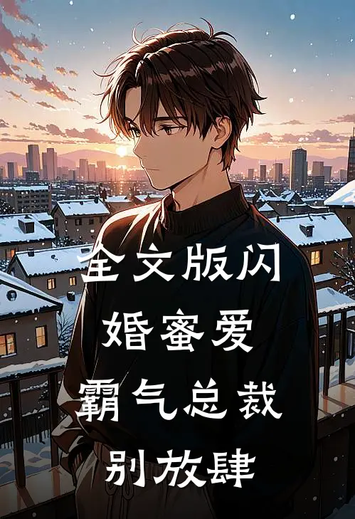 全文版闪婚蜜爱霸气总裁别放肆