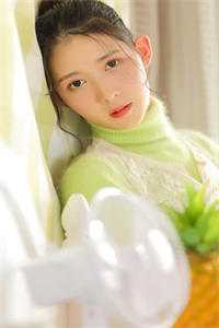 雾月沉入琥珀川小说大结局