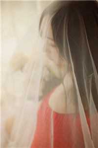 从前不待春风慢免费阅读全文