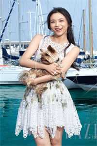 旧风未散的夏天小说免费阅读