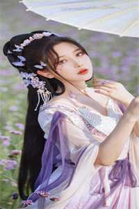 飞雁渡春秋几重林织夏池砚舟前文+后续