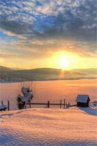 浮生短岁月长全章节阅读