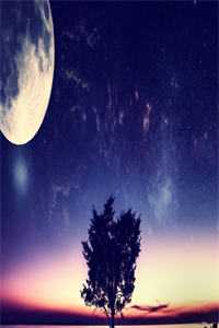 霁雪初晴君已远无删减全文