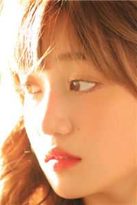 旧梦沉于春风章节