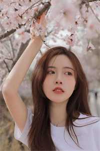 江月不知空余梦前文+