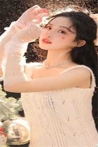 曾是惊鸿照我来孟维清傅衡大结局