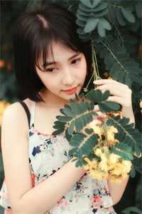 十年后，疯批大佬强扭小甜瓜爆款宝藏