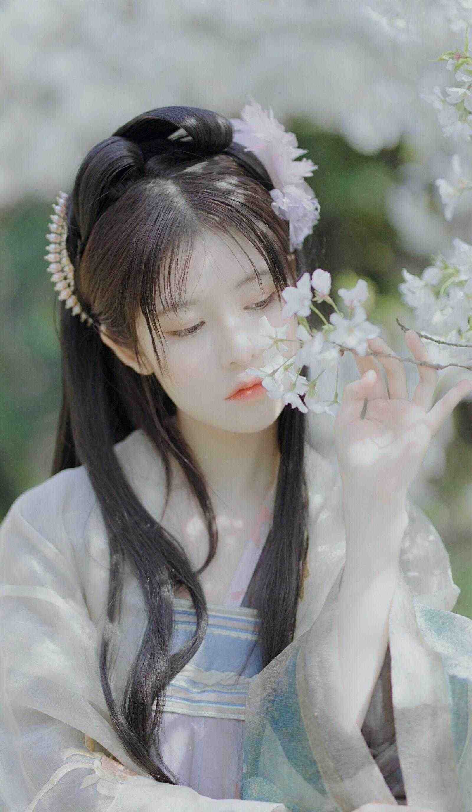 如晚风候月明爆火全网