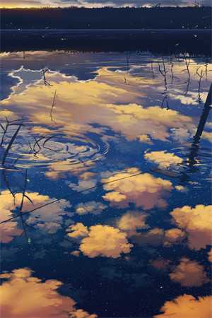 若随风入苍穹爆款热文