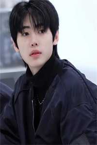 舟辞人去两相惘顾辞舟林语冰完结文