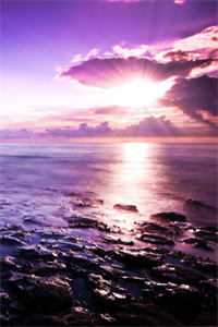 春风不顾桃花雪未删节