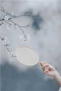 你抄家，我流放，搬空皇宫去流浪全本