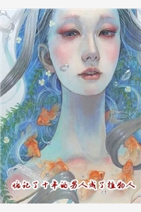 半城风絮起知乎