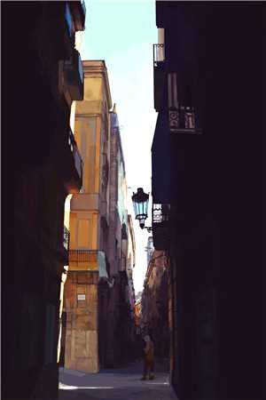 风把遗憾吹向远方推荐