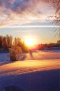 夫君被断腿后，我摇魔丸爹娘杀疯了最完整版