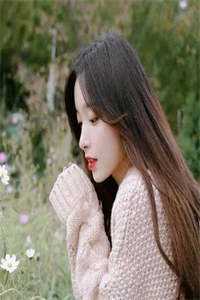 锦书封存晚照中已完结