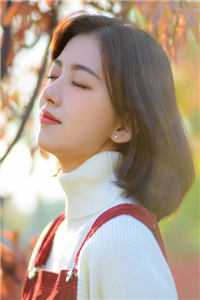 北雁流霜旧人寞最新热门小说