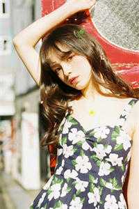 她曾把光藏入怀无删减