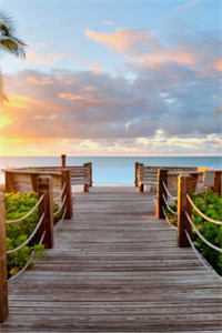 恰逢旧梦又惊鸿抖音